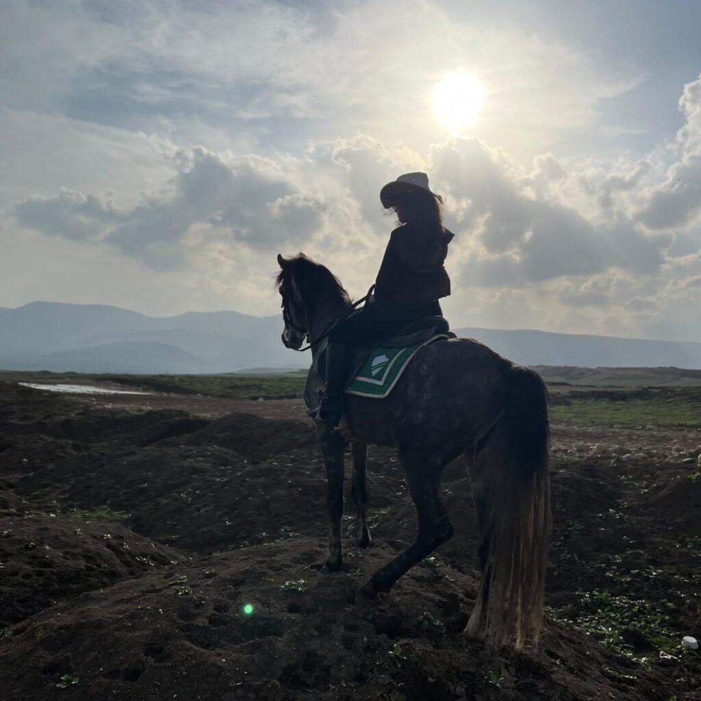 ئەکادیمیای گۆڵدینگ هۆف