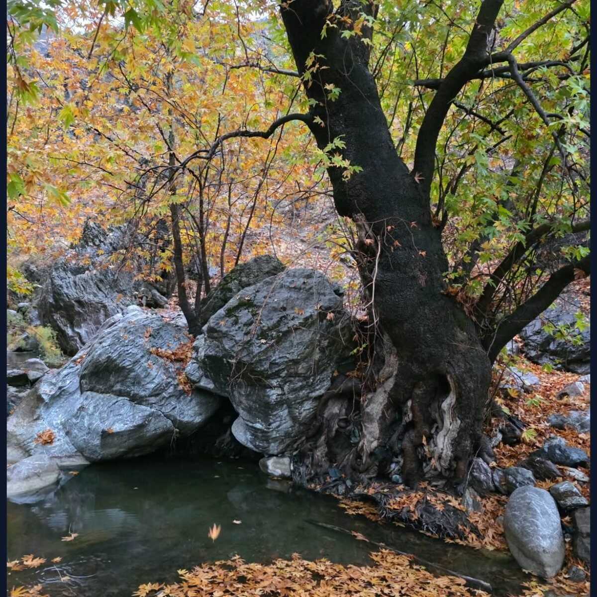 چەمی ساتۆر — پاییز