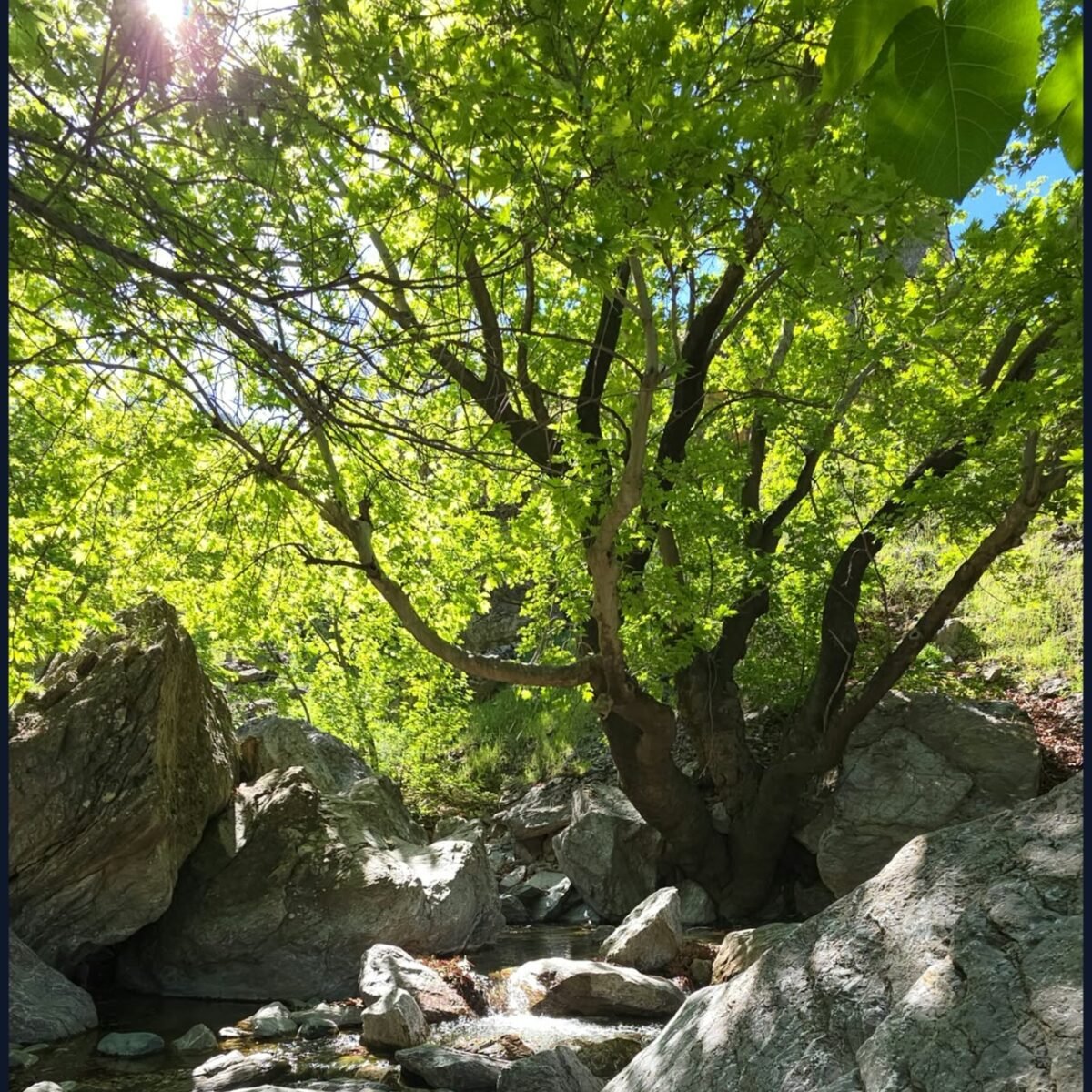 چەمی ساتۆر — هاوین
